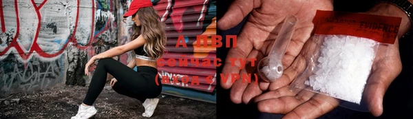 гашик Верея