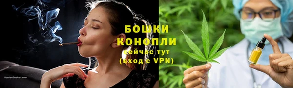 гашик Верея