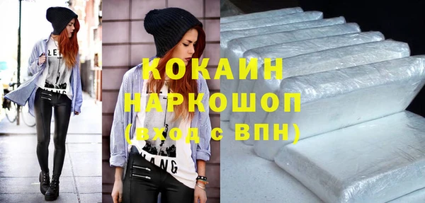 гашик Верея
