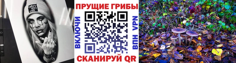 Псилоцибиновые грибы мицелий  Кизляр 