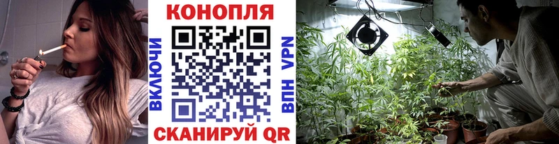 Канабис индика  продажа наркотиков  Кизляр 